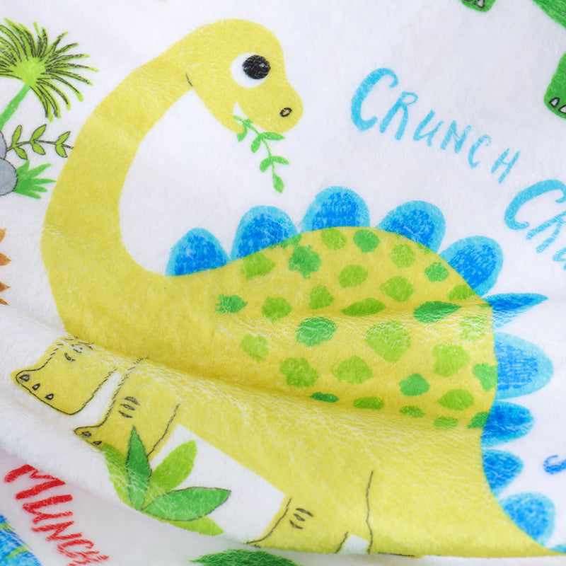 Little Dinosaur Throw